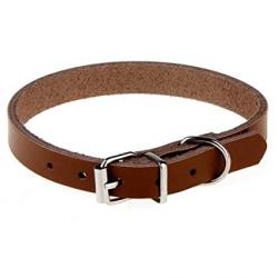 hasiott bor nyakorv petmax.jpg