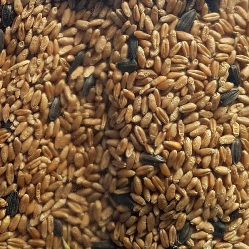 buza napraforgo specialis keverek.jpg