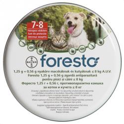 foresto 38cm 8kg alatt.jpg