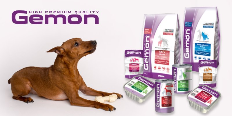 Gemon kutyaeledel termékek